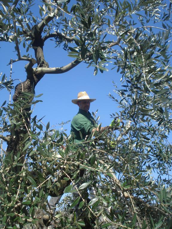 Podere Delle Fanciulle Pistoia Eksteriør billede