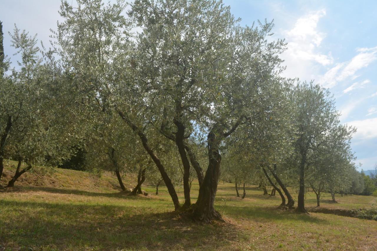 Podere Delle Fanciulle Pistoia Eksteriør billede
